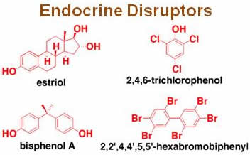 endocrine disruptor
